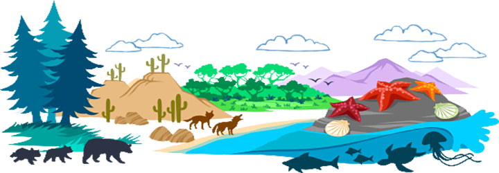 ../_images/biome.png