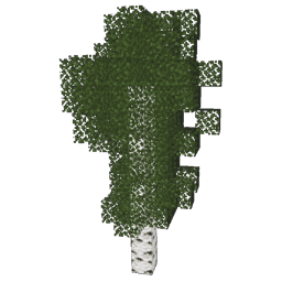 ../_images/birch_1.png