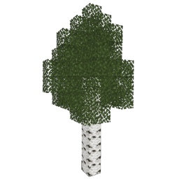 ../_images/birch_4.png