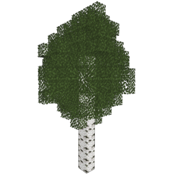 ../_images/birch_5.png