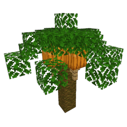 ../_images/palm_2.png