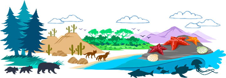 ../_images/biome.png