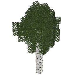 ../_images/birch_3.png