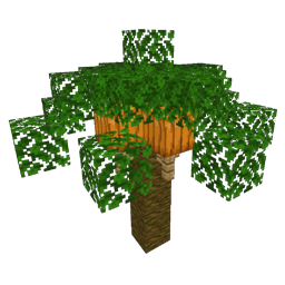 ../_images/palm_2.png