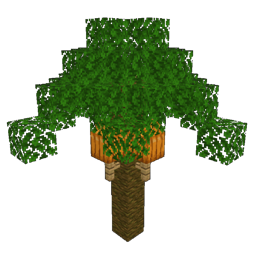 ../_images/palm_5.png